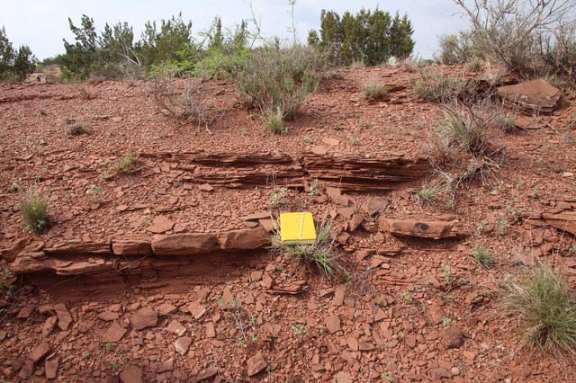 SWS AAPG 2024 Abilene 015