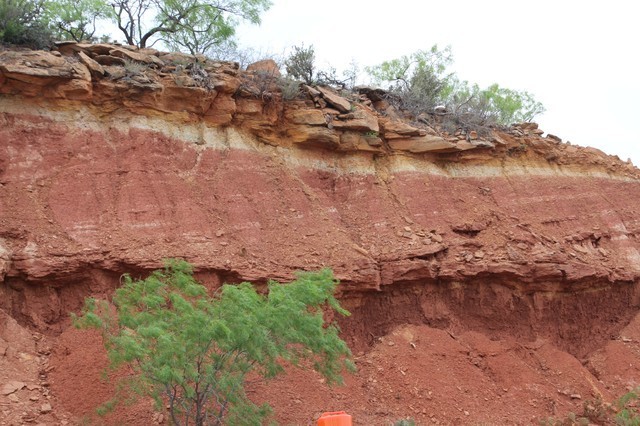 SWS AAPG 2024 Abilene 041